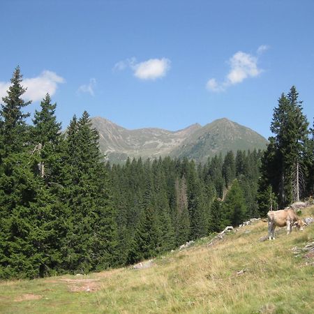 Fewo Windbichl Parcines Exterior foto